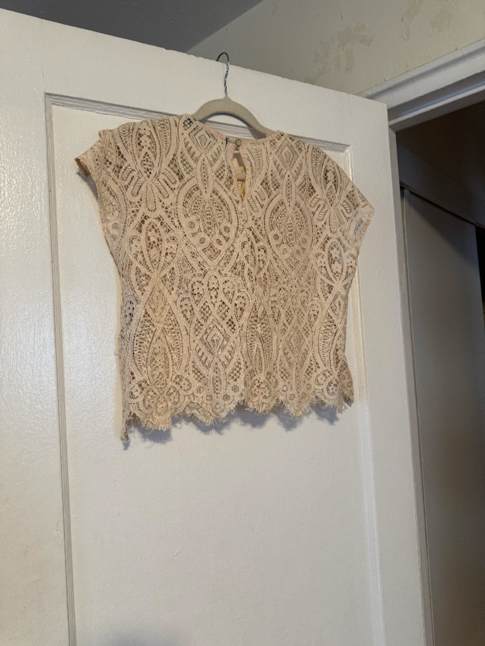 Zara Beige Lace Layered Top - Picture 4 of 6